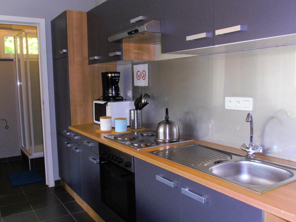 Studio Le Vedeur Avec Balcon Vue Sur Riviere Durbuy Eksteriør billede